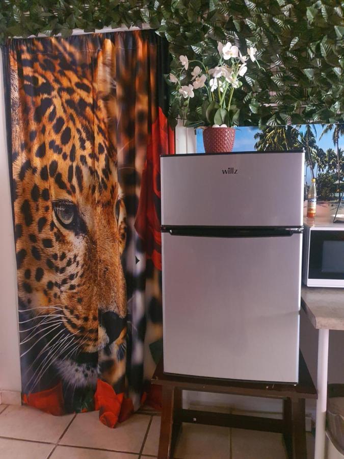 Apartamento Mjac Jungle *